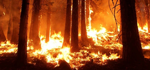 Tatilcilere ve Piknikçilere Orman Yangını Uyarısı