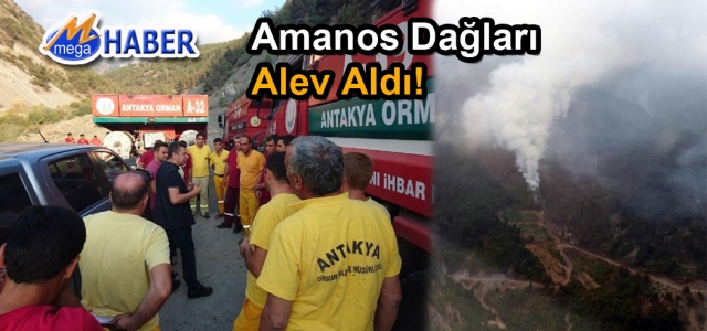 Teröristler Arsuz'da Ormanı Yaktı!