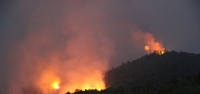 Arsuz'daki Orman Yangını Kontrol Altında