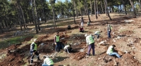 Başkan Yavaş'ın Fidanları Toprakla Buluştu