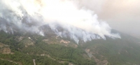 Belen'de Orman Yangını