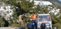 Belen'de Yol Açma ve Tuzlama Çalışmaları!