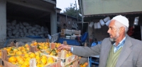 Damak Tadının Adı Hurma!