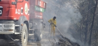 Dörtyol Orman Yangını Kontrol Altında