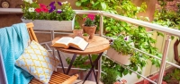 Hatay'da En Güzel Balkon Yarışması!