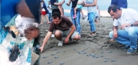HBB Ekiplerinden Kaplumbağalara Özel İlgi!