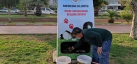 İskenderun Belediyesi Sokak Hayvanlarını Unutmuyor