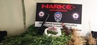 İskenderun'da Uyuşturucu Operasyonları: 7 Gözaltı