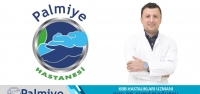 KBB Hastalıkları Uzmanı Doç. Dr. Suphi Bulğurcu Palmiye'de