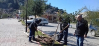 Park-Bahçe Ekipleri Daha Yeşil Ve Güzel Bir İskenderun Çalışıyor