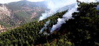 Teröristler Orman Yaktı: 5 Hektar Zarar Gördü