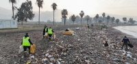 Yağmur Sonrası Dörtyol Sahilinde Biriken Atıklar Temizlendi