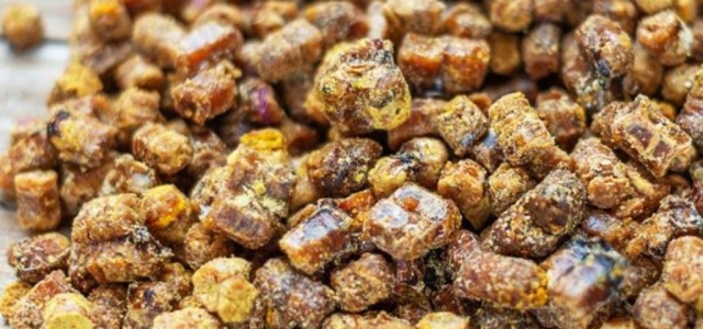 Vitamin Deposu ‘Arı Ekmeği' Her Derde Deva…!