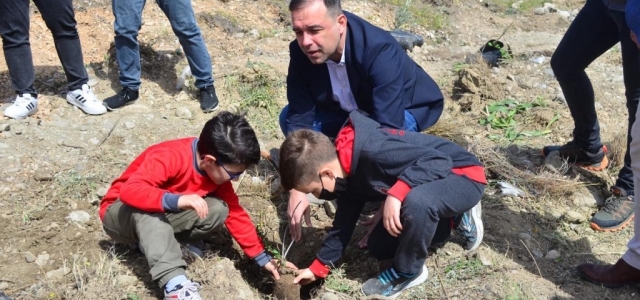 Yangında Zarar Gören Orman Arazileri Yeniden Ağaçlandırılıyor